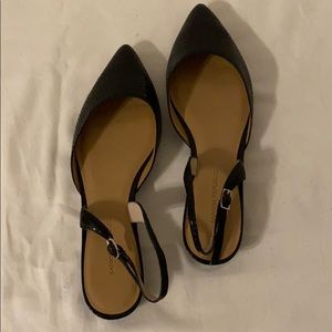 Banana Republic  slingback pointy flats